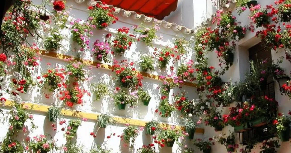 vertical wall garden